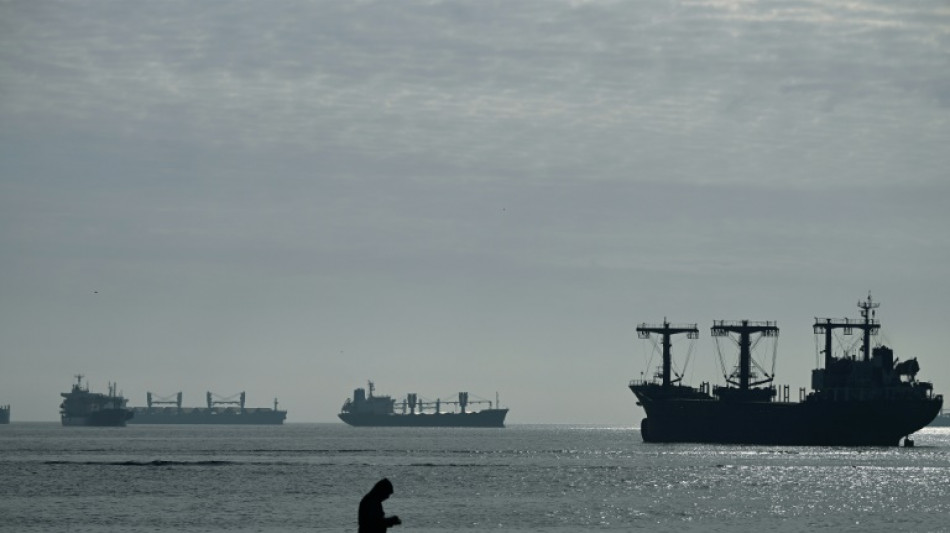 Ukraine: les cargos c&eacute;r&eacute;aliers clou&eacute;s aux ports apr&egrave;s les exigences de Moscou