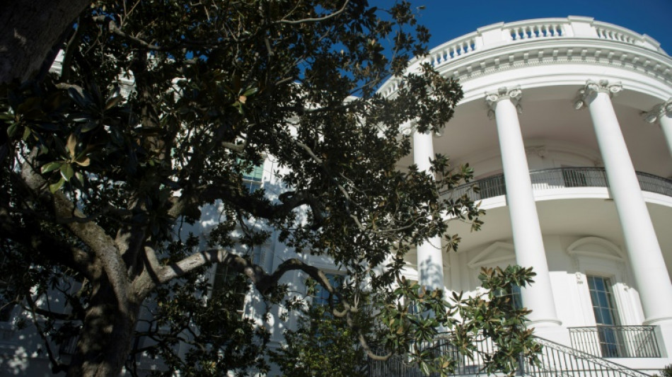 Un centenario y enfermizo &aacute;rbol de la Casa Blanca ser&aacute; removido, seg&uacute;n Trump
