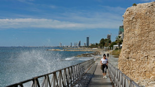 Cyprus says Gulf state protested after tourists attacked