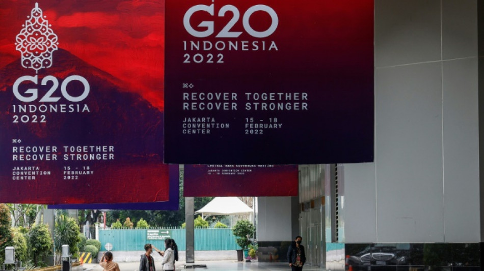 L'Ukraine chamboule l'agenda du G20 finances &agrave; Washington