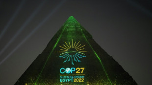 Coup d'envoi de la COP27 pour r&eacute;veiller le combat pour le climat