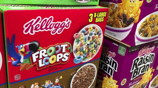 Kellogg pierde en la justicia frente al gobierno brit&aacute;nico