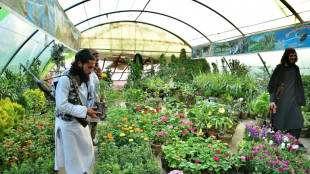 ONU aprobar&aacute; resoluci&oacute;n sobre su presencia en Afganist&aacute;n, salvo veto de Rusia