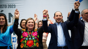 X&oacute;chitl G&aacute;lvez lidera pesquisas para candidatura opositora &agrave; Presid&ecirc;ncia do M&eacute;xico