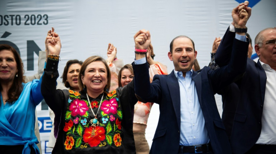 X&oacute;chitl G&aacute;lvez ser&aacute; candidata &uacute;nica da oposi&ccedil;&atilde;o nas presidenciais no M&eacute;xico