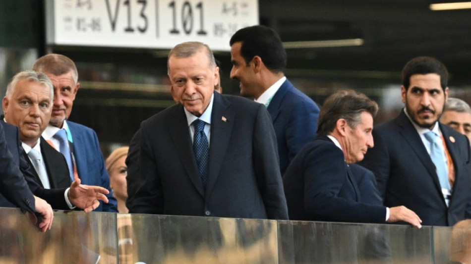 Turkey's leader Erdogan in Hungary for NATO, energy talks