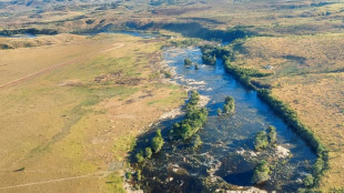 Ex&eacute;rcito refor&ccedil;a presen&ccedil;a na fronteira com Guiana e Venezuela