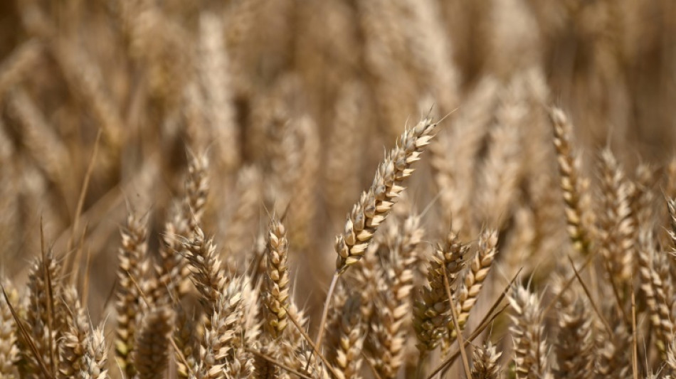 &Ouml;zdemir: Extremwetter machen Ernten immer st&auml;rker zum Lotteriespiel 