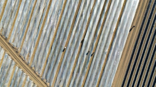 Bauernverband fordert Ausnahme vom Mindestlohn f&uuml;r Saisonkr&auml;fte 