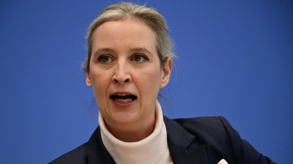 Weidel: Koalitionsvertrag "trägt durchgehend die Handschrift des Wahlverlierers SPD"