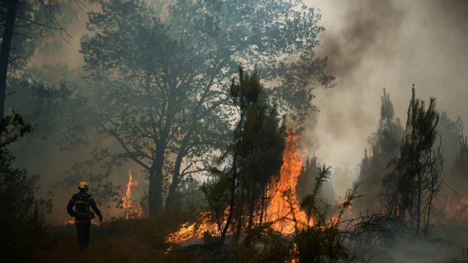 La canicule se d&eacute;cale &agrave; l'est, 17.000 hectares br&ucirc;l&eacute;s en Gironde