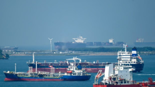 Spanien pr&uuml;ft m&ouml;gliche Umgehung von Importverboten russischen &Ouml;ls