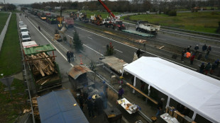 Col&egrave;re agricole: des barrages persistent dans le Sud-Ouest, au premier jour des vacances