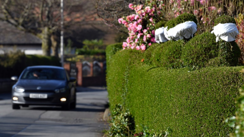 Urteil: Keine Höhenbegrenzung für Hecken zwischen Nachbargrundstücken in Hessen
