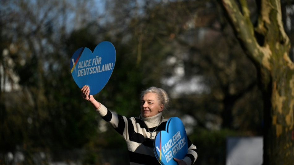 L'Allemagne "&agrave; terre", la grande angoisse de l'&eacute;lectorat d'extr&ecirc;me droite