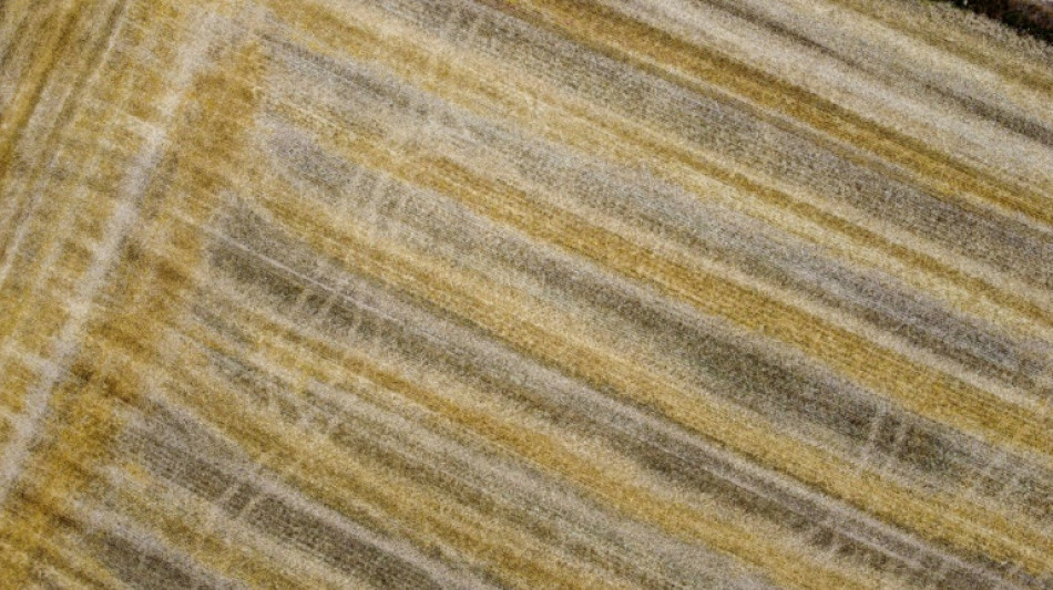 Taxer les engrais russes, le projet de l'UE qui inquiète les agriculteurs