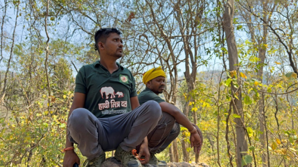 En Inde, un système d'alerte pour prévenir les attaques d'éléphants