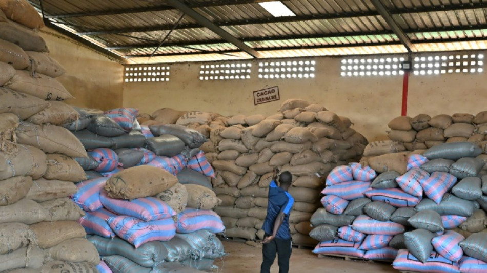 "&Ccedil;a chauffe en brousse": en C&ocirc;te d'Ivoire, blocage dans la fili&egrave;re du cacao