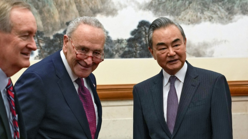 Top US senator Schumer meets Chinese foreign minister