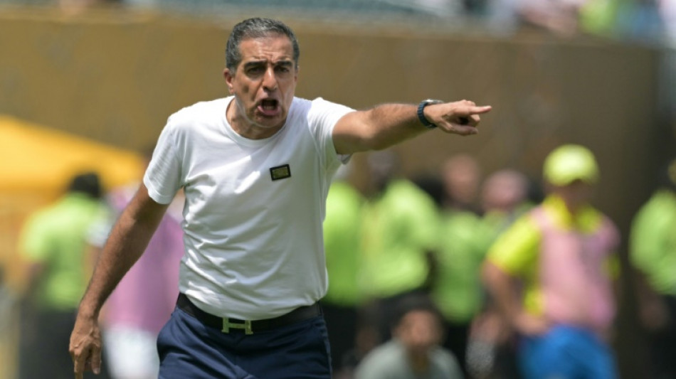 Botafogo demite Renato Paiva ap&oacute;s ser eliminado pelo Palmeiras na Copa do Mundo de Clubes