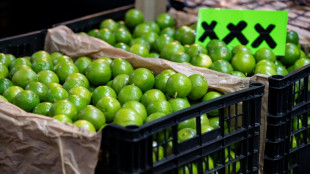 Asesinan al l&iacute;der de los productores de lim&oacute;n en el oeste de M&eacute;xico