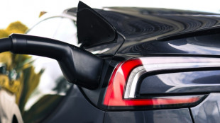 Verbrenner-Verbot f&uuml;r Firmenflotten und Mietautos in EU: Widerstand aus Berlin 