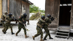 Alto funcion&aacute;rio da Defesa dos EUA visita Guiana em meio a disputa com Venezuela