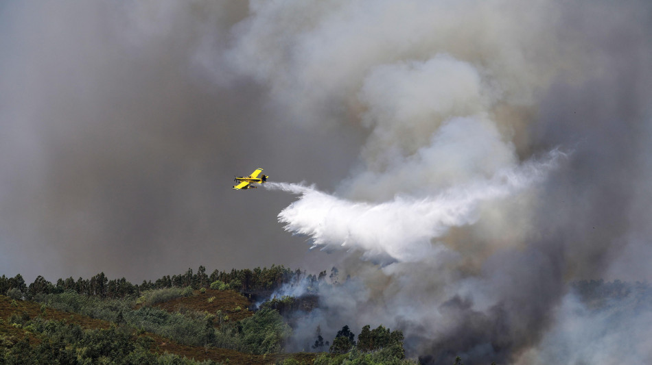 Incendi in Portogallo, quest'anno gi&agrave; arrestate 26 persone