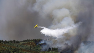Incendi in Portogallo, quest'anno gi&agrave; arrestate 26 persone