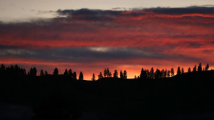 J&oacute;venes de EEUU cantan victoria en un hist&oacute;rico juicio clim&aacute;tico