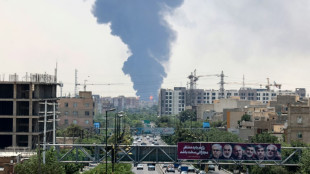 SPD, Gr&uuml;ne und Linke fordern Stopp von Abschiebungen nach Iran