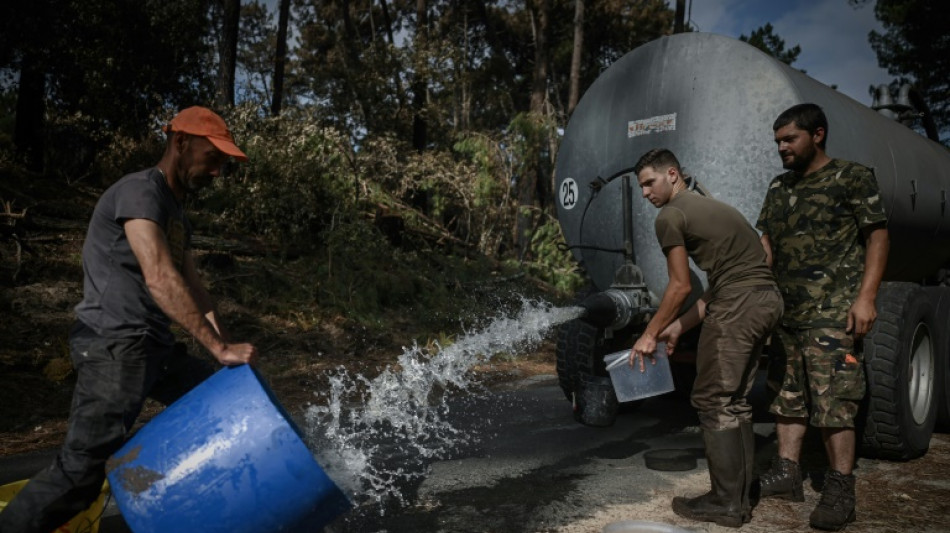 En Gironde, dans la pin&egrave;de br&ucirc;l&eacute;e, des points d'eau pour les animaux d&eacute;sorient&eacute;s