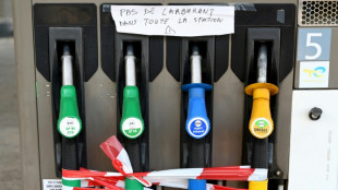 TotalEnergies: la gr&egrave;ve continue, le sommet de l'Etat fait pression pour r&eacute;soudre la crise