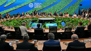 Brasil lanza en Belém un fondo mundial para proteger los bosques tropicales