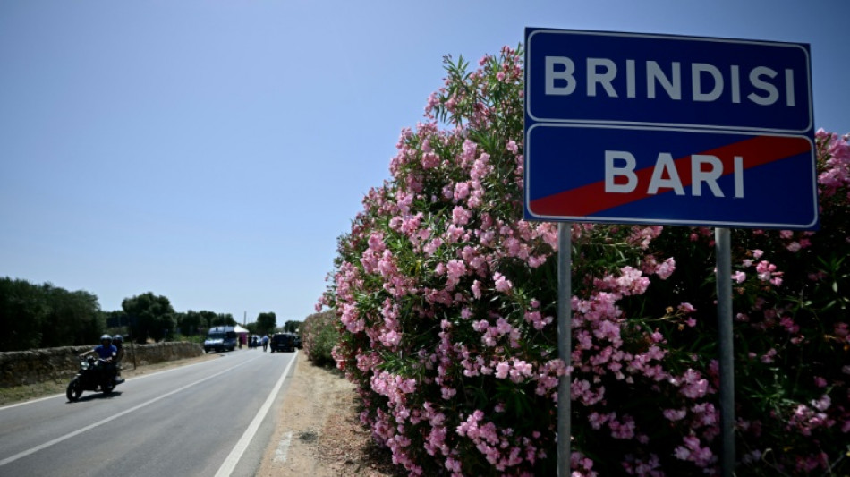 El papa Francisco, Milei y Lula participar&aacute;n en la cumbre del G7 en Italia