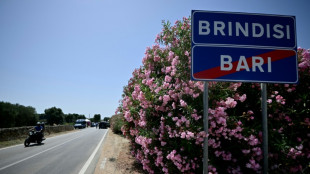 El papa Francisco, Milei y Lula participar&aacute;n en la cumbre del G7 en Italia