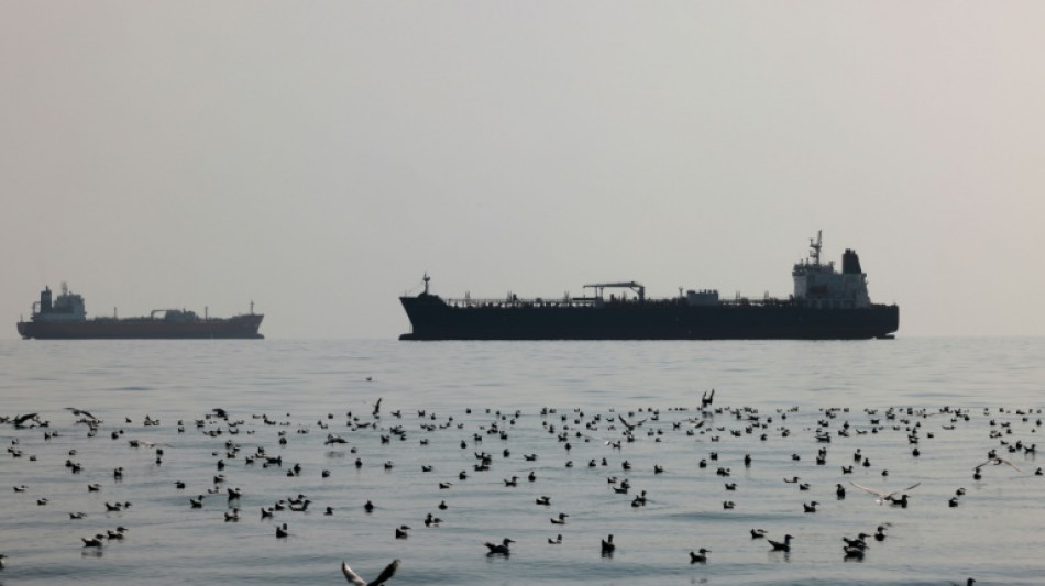 Experte bef&uuml;rchtet Umweltkatastrophen durch m&ouml;gliche russische "Schattenflotte"