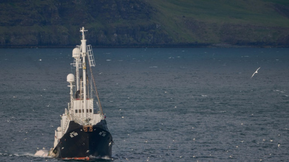 Suspenden la caza de ballenas en Islandia por segundo año consecutivo