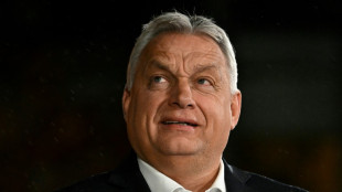 Hungria lan&ccedil;a nova consulta nacional anti-Uni&atilde;o Europeia