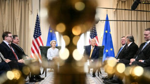 EU setzt Gegenz&ouml;lle auf US-Importe formell aus 