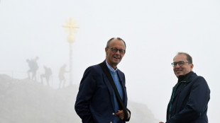 Merz begr&uuml;&szlig;t soziale Aspekte des Entlastungspakets - vermisst aber Hilfe f&uuml;r Firmen