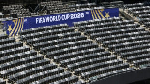 WM-Finale: Organisatoren beobachten Waldbrand-Rauch genau 