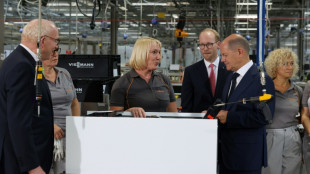 Bundesregierung begr&uuml;&szlig;t Viessmann-&Uuml;bernahme durch US-Konzern