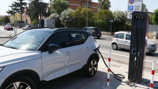 Pichetto, da settembre 600 milioni per acquisto auto verdi