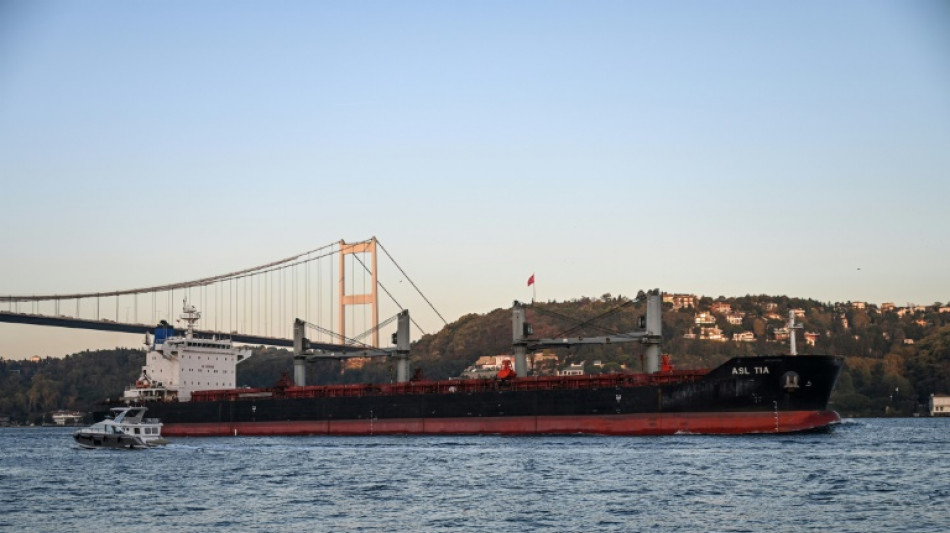 Six cargos c&eacute;r&eacute;aliers quittent les ports ukrainiens apr&egrave;s une volte-face de la Russie