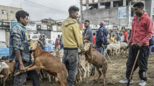 Nouvel an morose en &Eacute;thiopie, entre reprise du conflit et inflation galopante