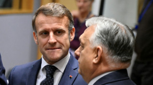 La UE celebra una cumbre decisiva sobre el uso de los activos rusos para Ucrania