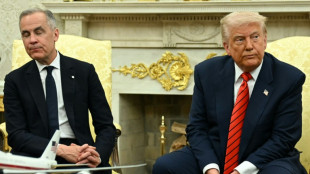 Trump annonce l'arr&ecirc;t des raids am&eacute;ricains contre les rebelles au Y&eacute;men