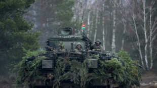 Bundestag bewilligt trotz Bedenken Mittel für Kauf neuer Puma-Panzer