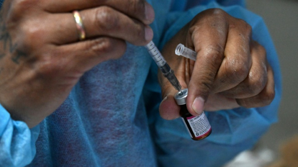 La vacunación de emergencia reduce las muertes en un 60%, según estudio